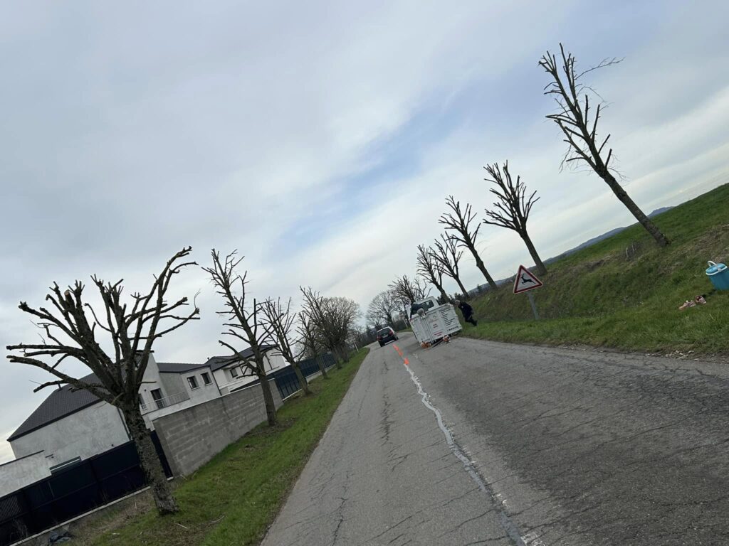 enlevement de dechets verts Thionville